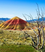 Painted Hills Oregon USA 64